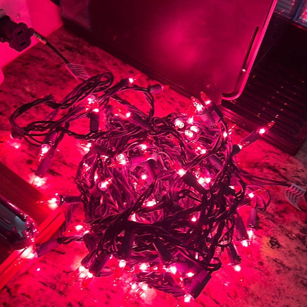Vickerman Christmas lights. Pink!